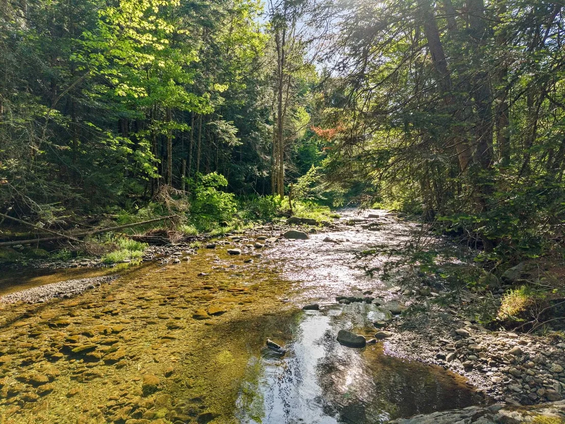Photo of 1754 Brook