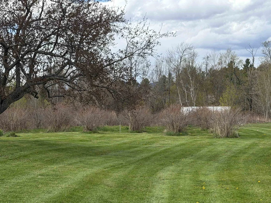 Photo of 262 Grimes