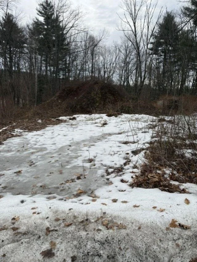 Photo of 2 Shore