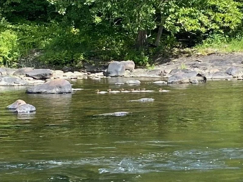 Photo of 3333 West River