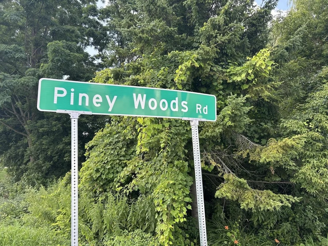 Photo of 150 Piney Woods