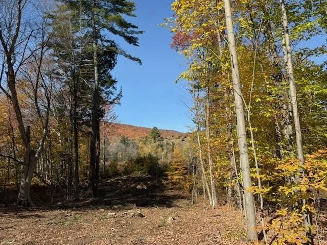 Photo of 8 Okemo Acres
