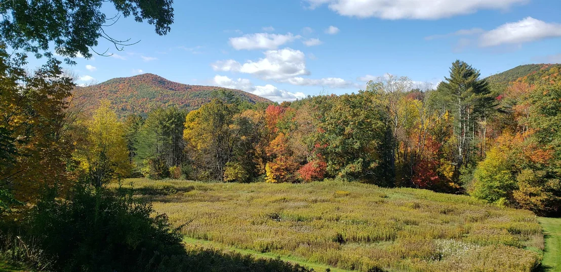 Photo of 289 Lamb Hill