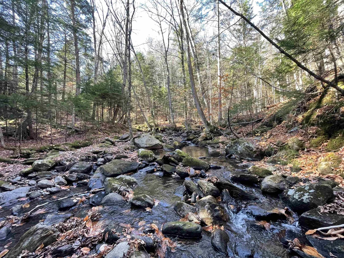 Photo of 81 Mirror Lake