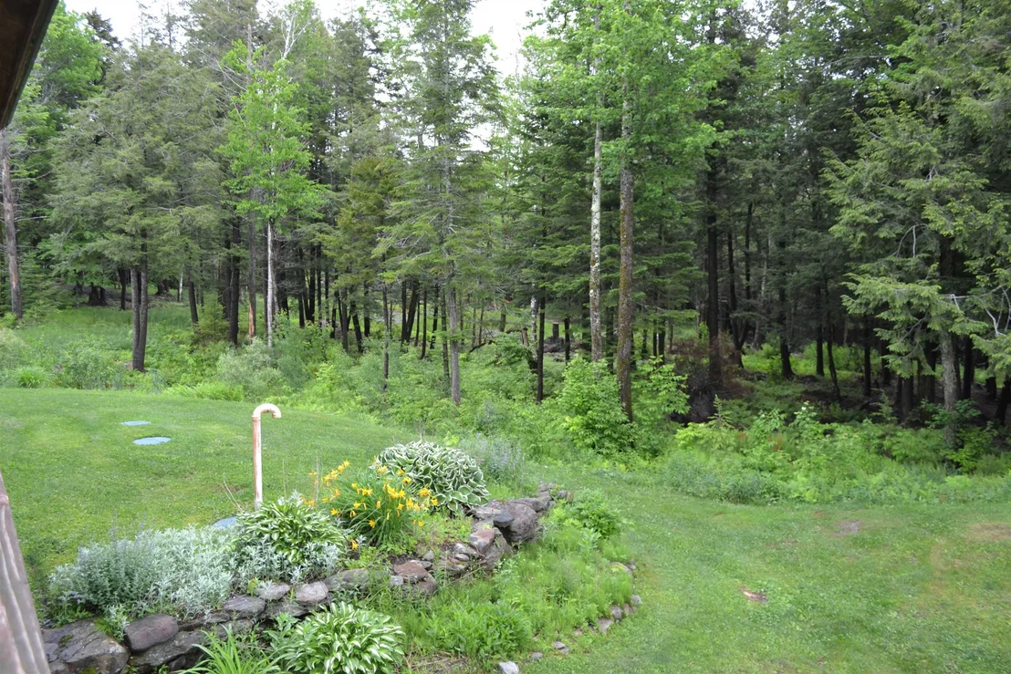 Photo of 373 Wilderness