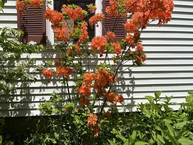 Photo of 98 Greenleaf