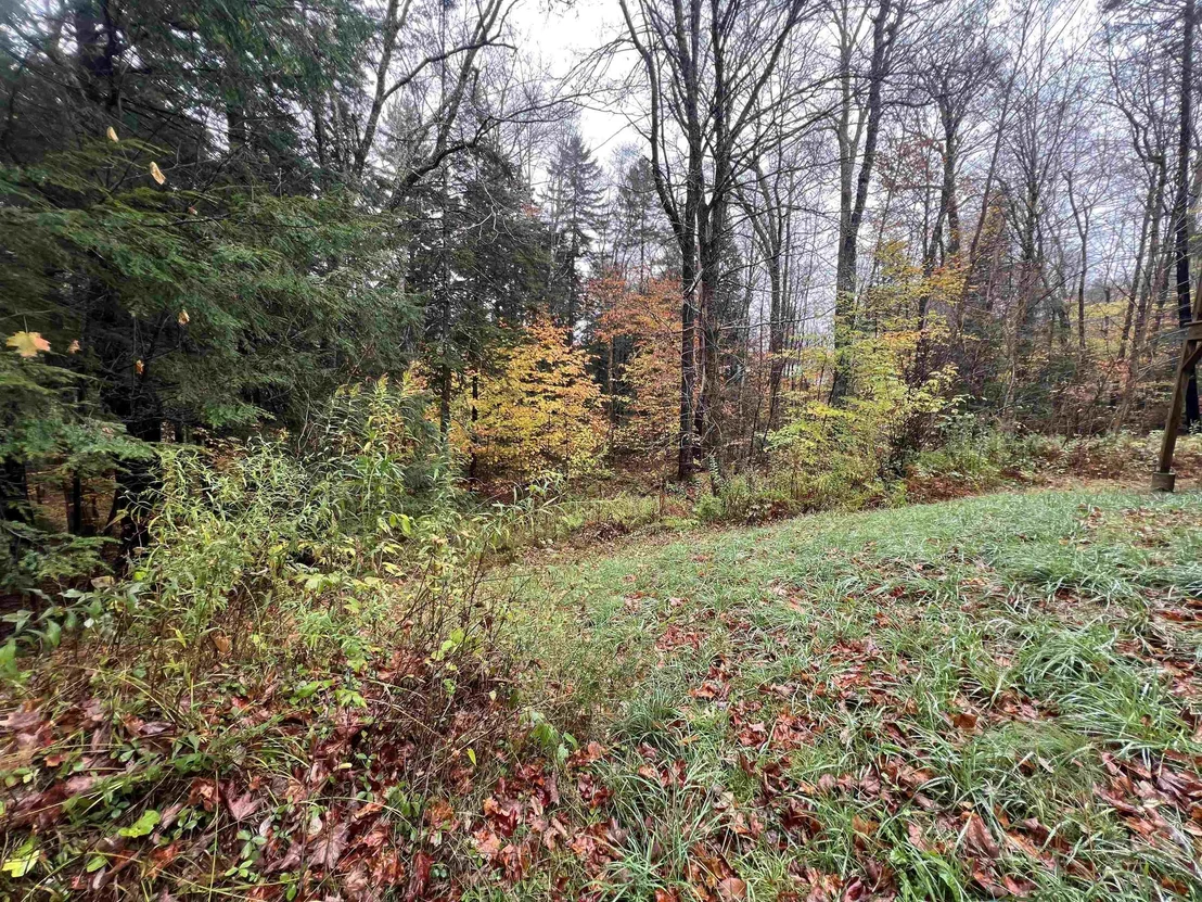 Photo of 40 Ellis Brook