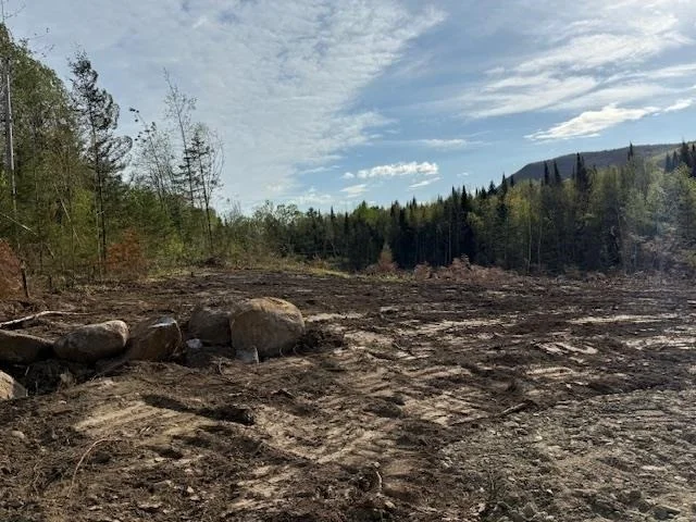 Photo of Lot 56.1 Faraway