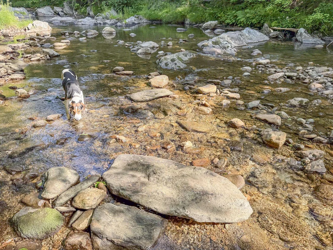 Photo of 2565 Bingo Brook