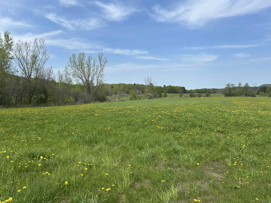 Photo of Lot 2 Plains