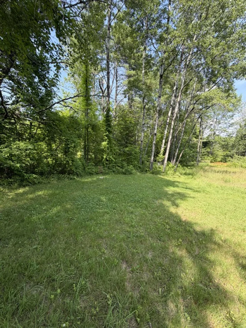 Photo of 280 Chickville