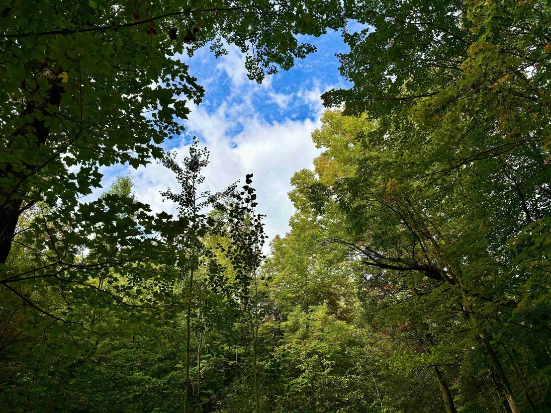Photo of 0 Partridge Hollow