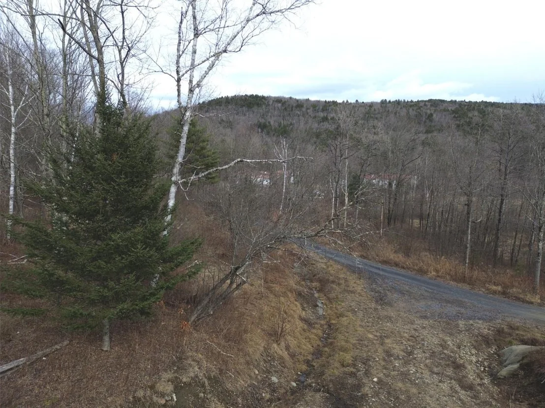 Photo of Unit 3 at 00 Bent Birch