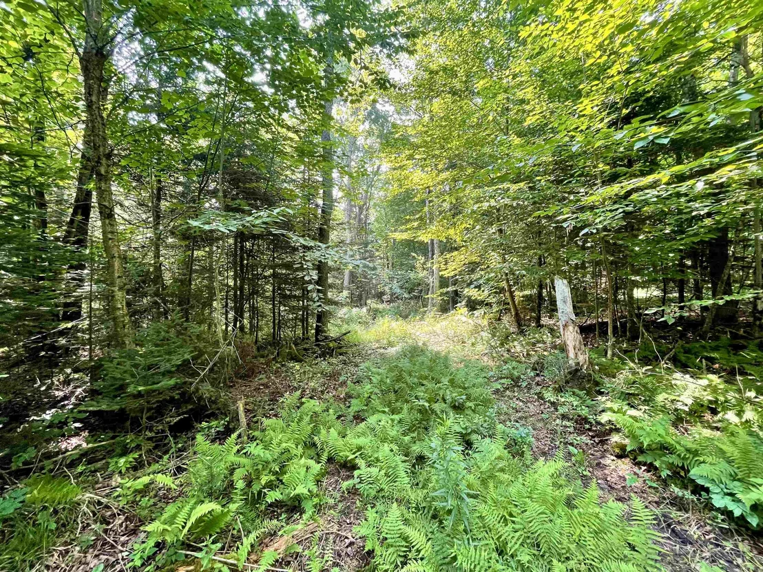 Photo of 00 Peene Hill