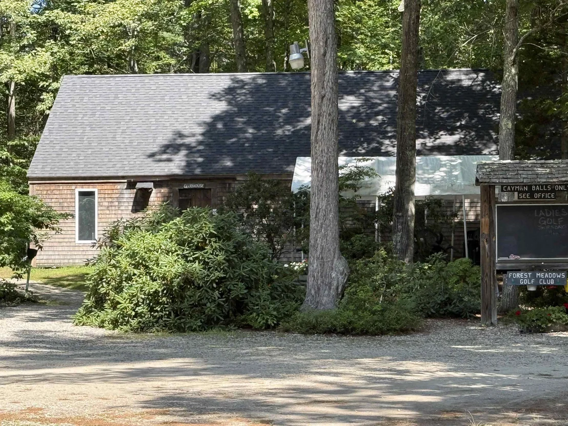 Photo of 11 Pine
