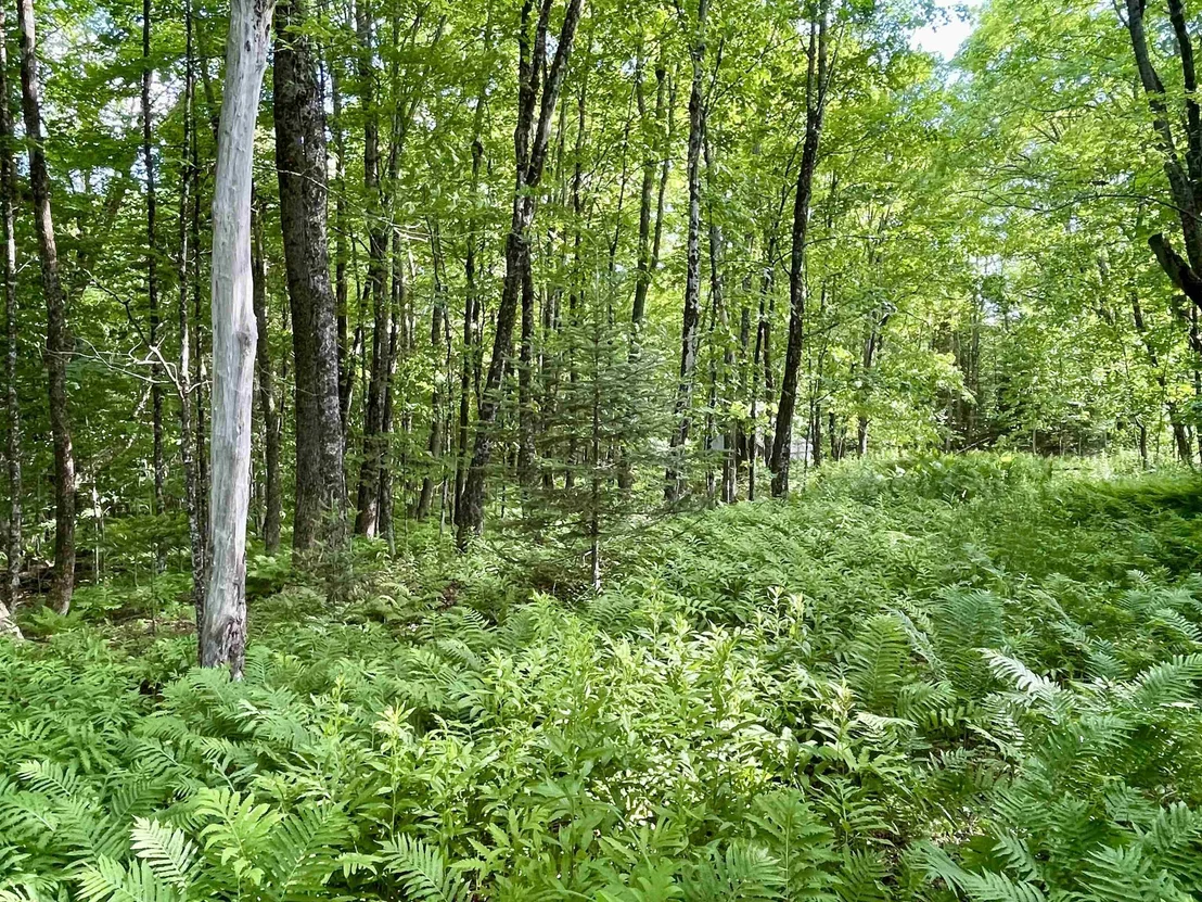 Photo of 00 Old Farm