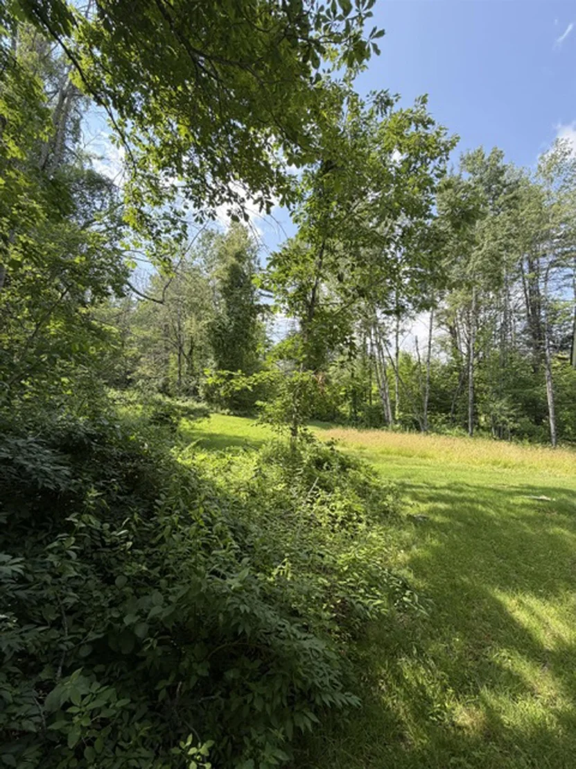 Photo of 280 Chickville