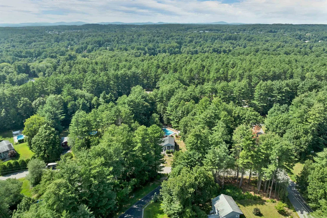 Photo of 2 Forest