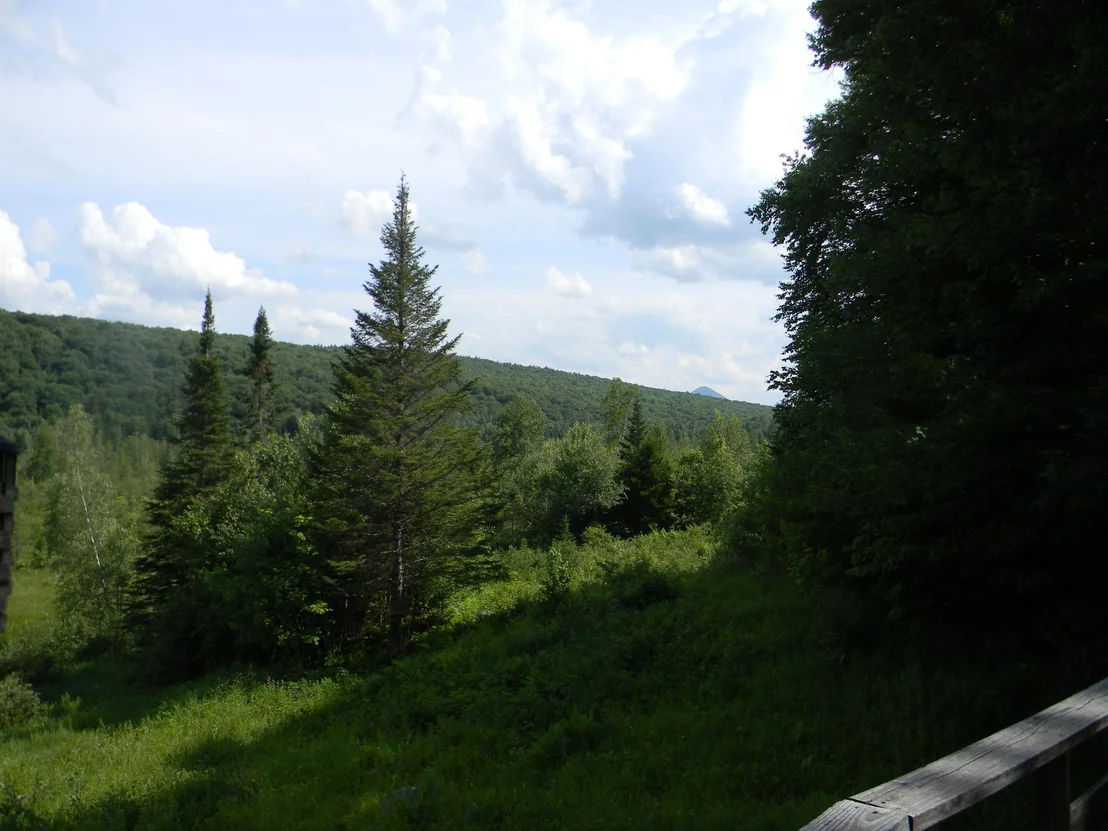 Photo of 24 Nash Stream