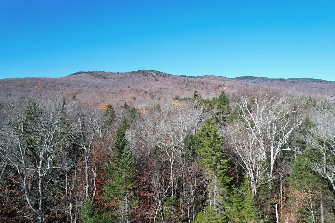 Photo of 81 Mirror Lake