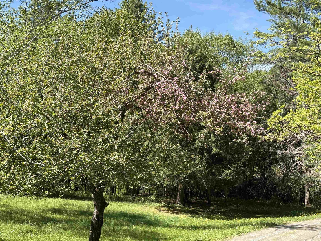 Photo of 1250 Braintree Hill