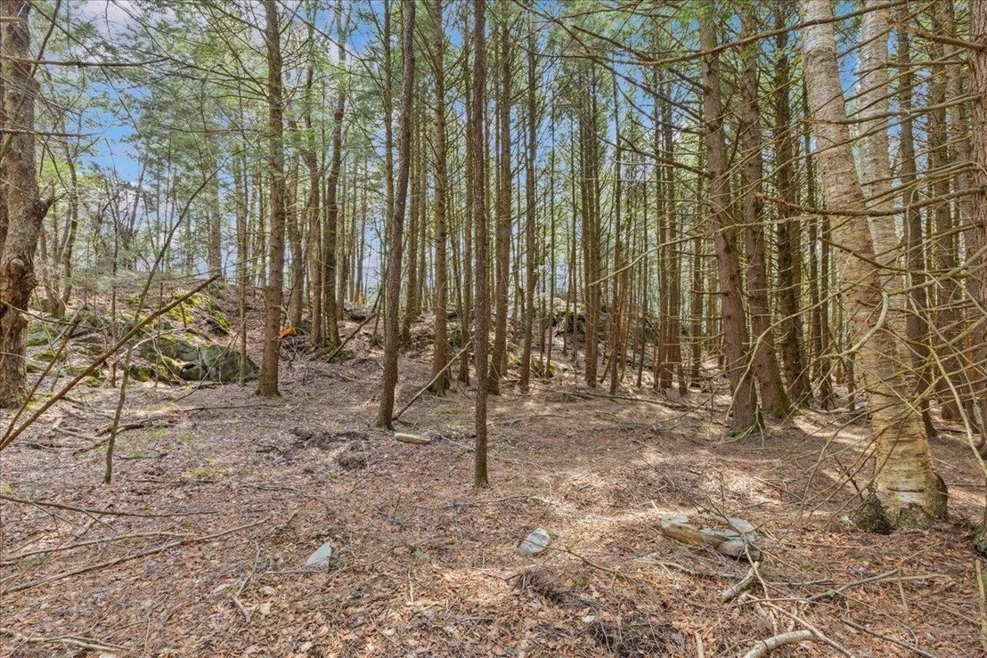 Photo of Lots 2 & 3 Hemlock