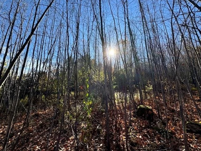 Photo of 0 Route 132