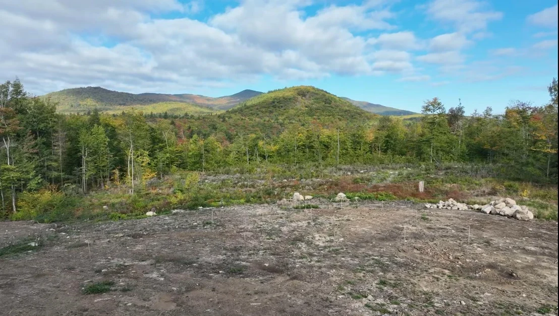 Photo of 314 Ossipee Mountain