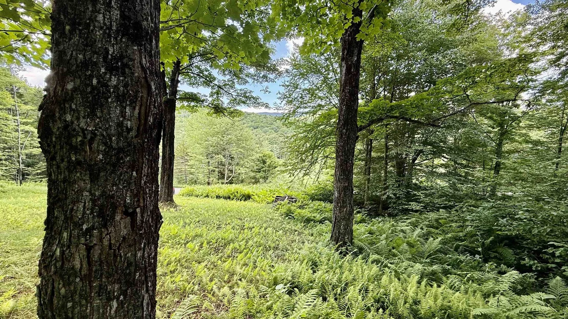 Photo of 2075 Codding Hollow