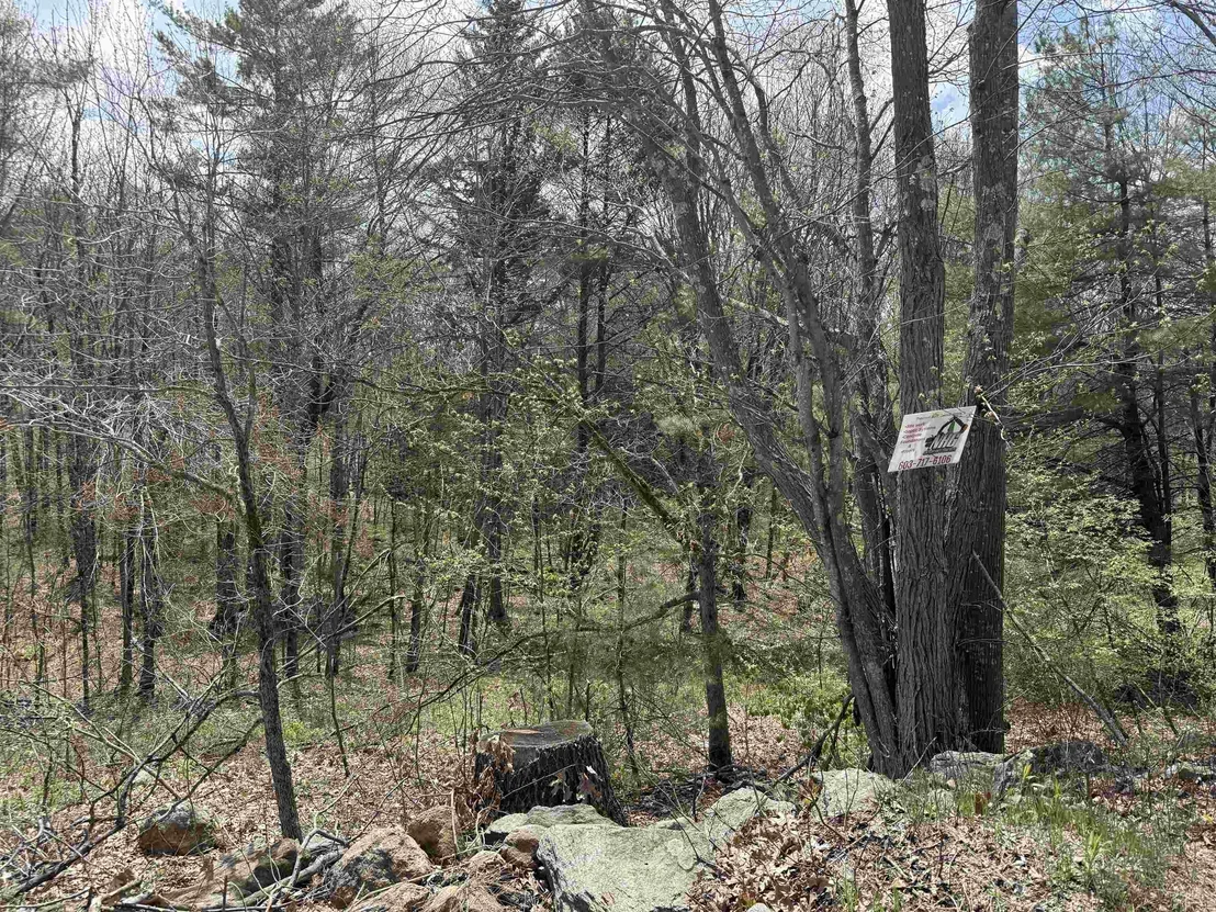 Photo of Unit MAP8LOT28 at 87 Bear Hill