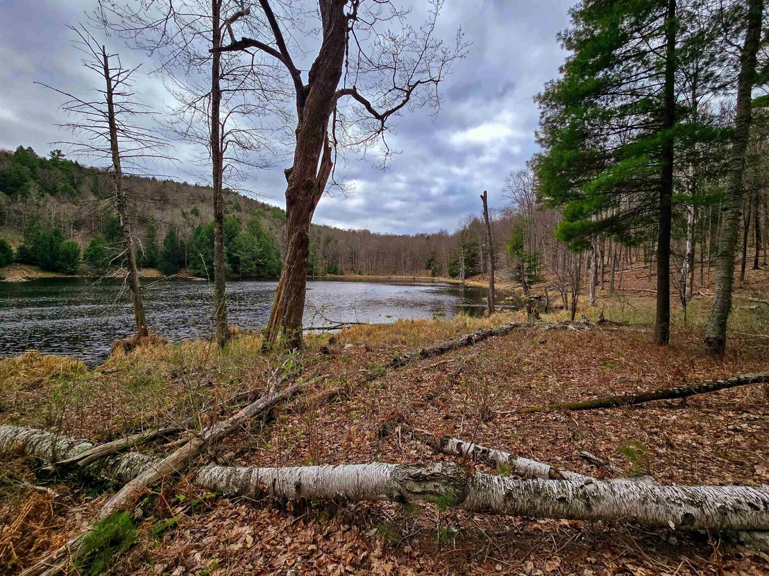 Photo of 765 Camp