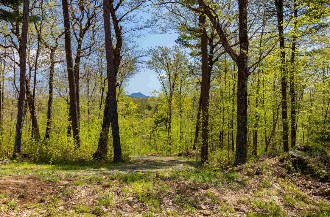 Photo of 189 Shagbark
