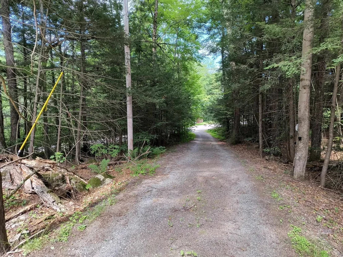 Photo of 55 Hallwood