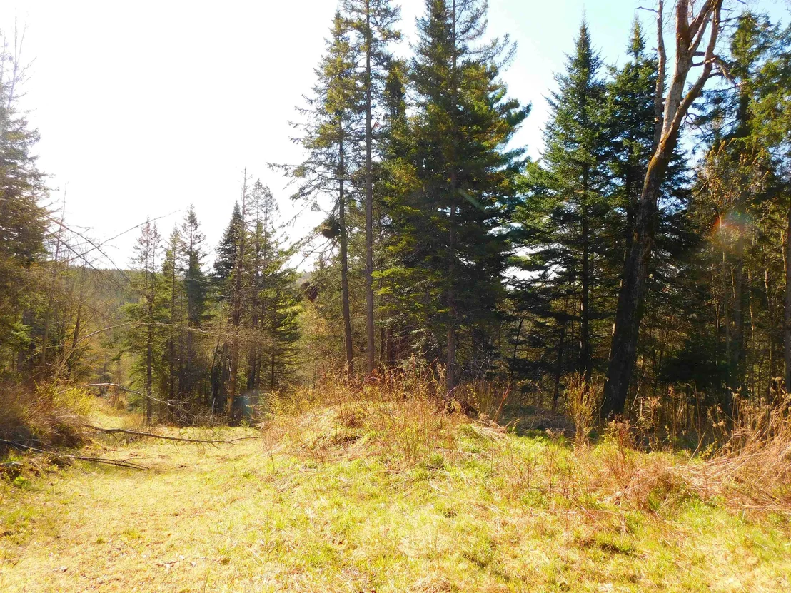 Photo of 0 Piper Hill