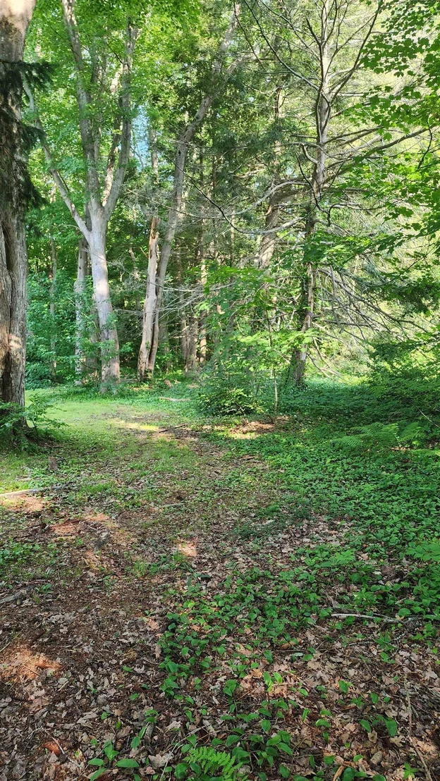 Photo of Unit MAP161LOT44 at Towle