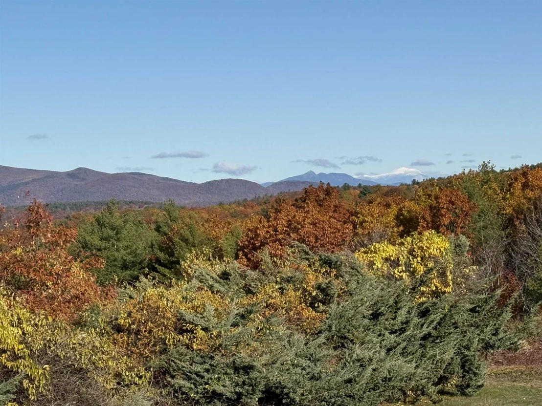 Photo of 36 Blueberry Hill