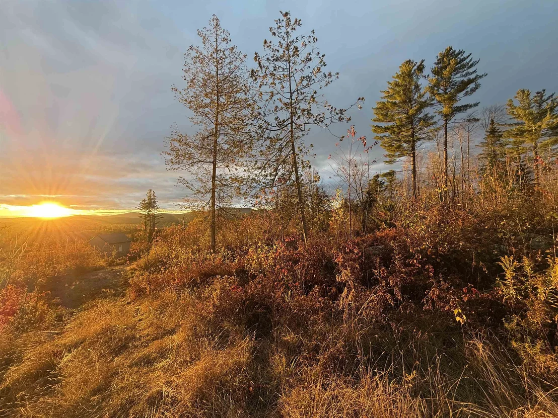 Photo of Lot 12 Page Hill