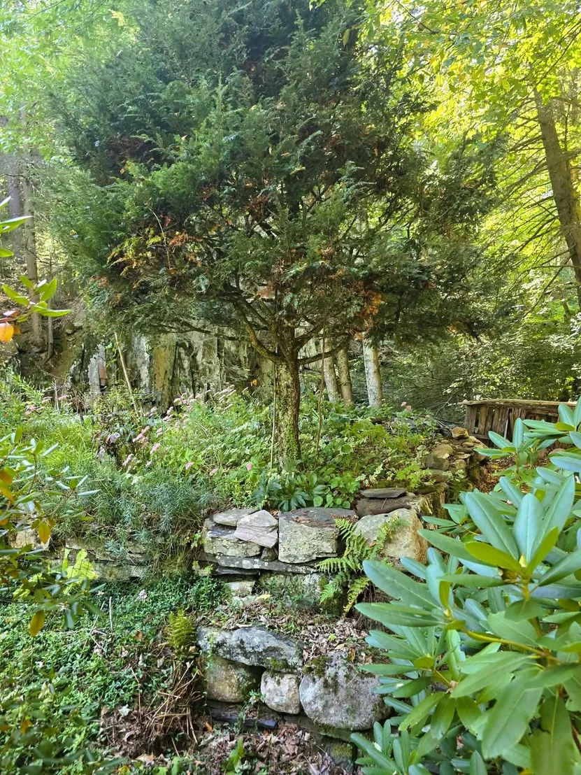 Photo of 1107 Broad Brook