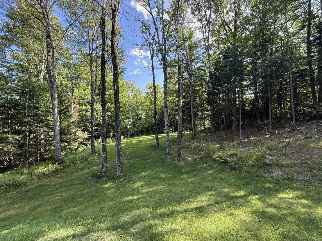 Photo of 70 Tamarack