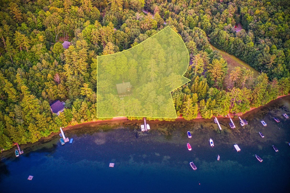 Photo of 11 Squamasee