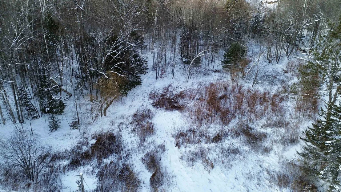 Photo of 142 Brooks