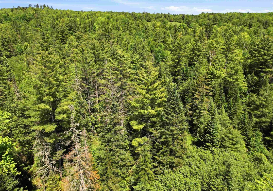 Photo of 0 High Ridge