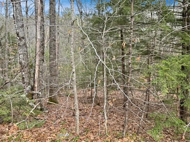 Photo of 78 Hopper