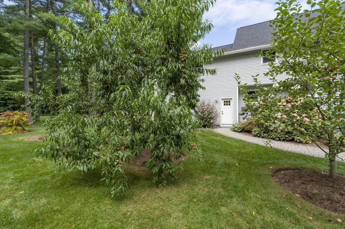 Photo of 4 Taconic