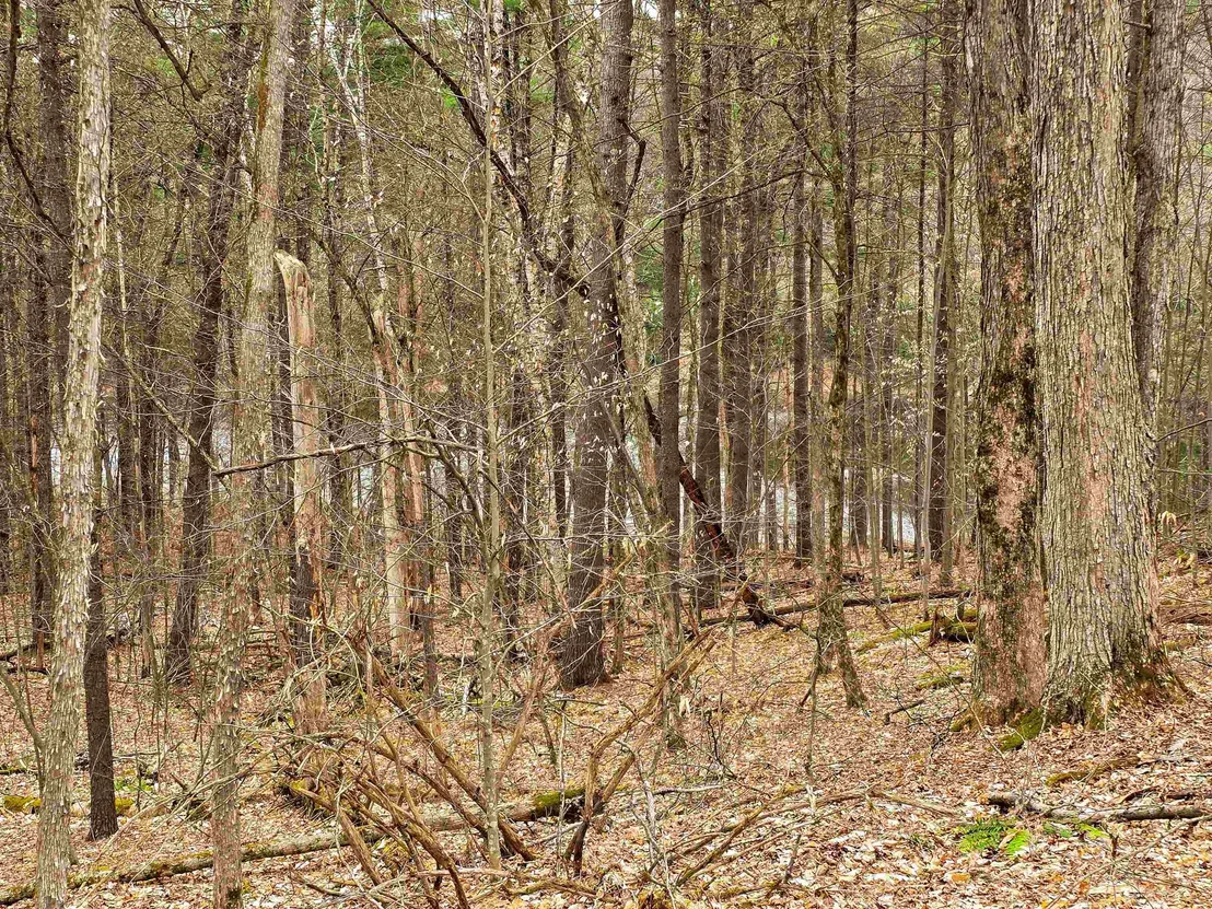Photo of 765 Camp