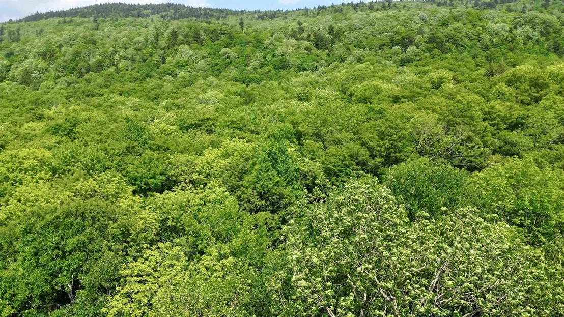 Photo of 0 North