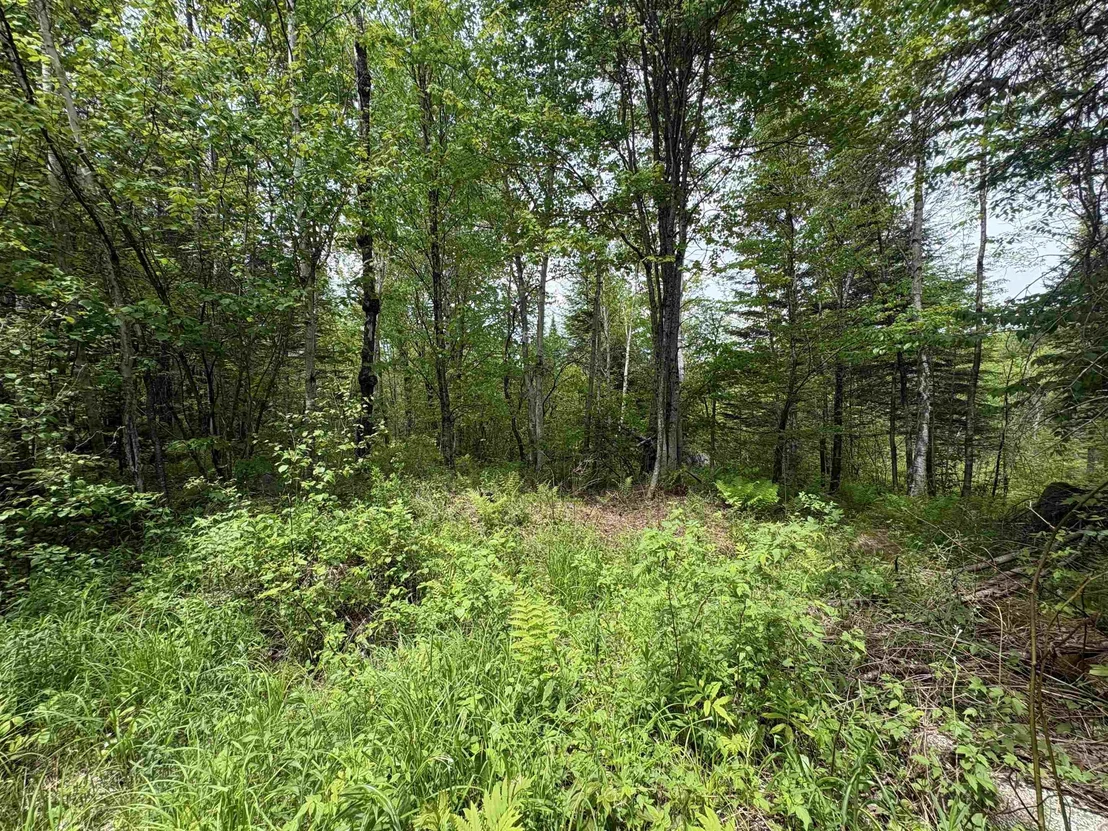 Photo of 0 Old Pond Hill
