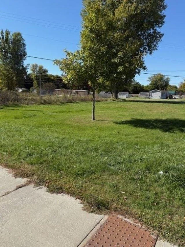Photo of 19 Elm