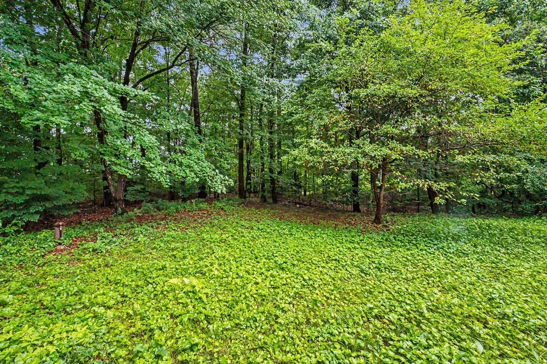 Photo of 29 Rowe