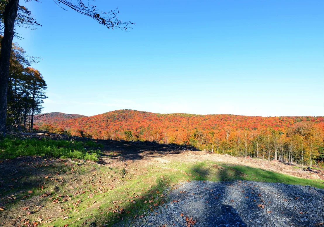 Photo of 16 Overlook